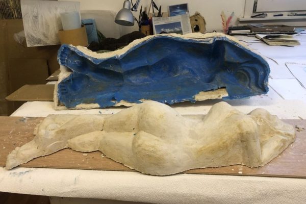 2025 inscan model 2025 inscan model