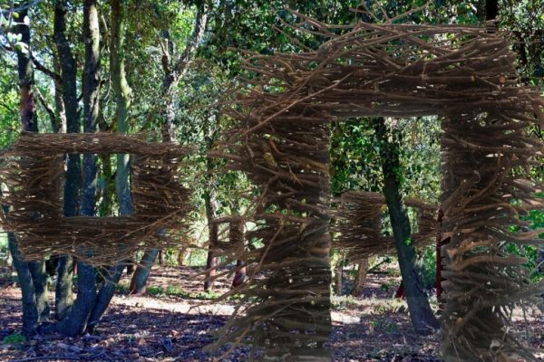 XE1-2949375 - © - Alfred Abad